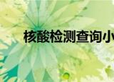 核酸检测查询小程序（核酸检测查询）