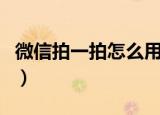 微信拍一拍怎么用才好玩（微信拍一拍怎么用）