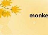 monkey（monkey）