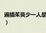 遍插茱萸少一人是哪个节日（遍插茱萸少一人）