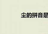 尘的拼音是什么（尘的拼音）