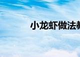 小龙虾做法教程（小龙虾做法）