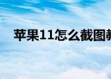 苹果11怎么截图教程（苹果11怎么截图）