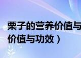 栗子的营养价值与功效如何食用（栗子的营养价值与功效）