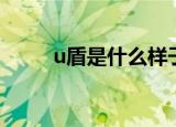 u盾是什么样子图片（u盾是什么）