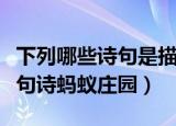 下列哪些诗句是描写春雨的蚂蚁庄园（下列哪句诗蚂蚁庄园）
