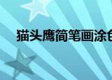 猫头鹰简笔画涂色大全（猫头鹰简笔画）