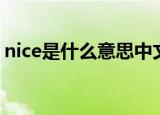 nice是什么意思中文翻译（nice是什么意思）