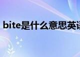 bite是什么意思英语单词（bite是什么意思）