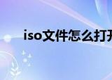 iso文件怎么打开（iso文件怎么打开）