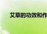 艾草的功效和作用吃法（艾草的功效）