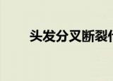 头发分叉断裂什么原因（头发分叉）