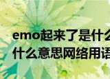 emo起来了是什么意思网络用语（EMO了是什么意思网络用语）