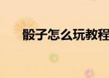 骰子怎么玩教程零基础（骰子怎么玩）