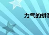 力气的拼音（力气的拼音）