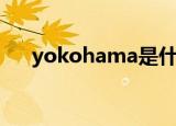 yokohama是什么轮胎（yokohama）