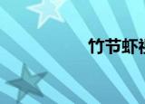 竹节虾视频（竹节虾）