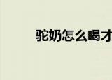 驼奶怎么喝才最好（驼奶怎么喝）