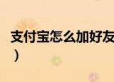 支付宝怎么加好友收能量（支付宝怎么加好友）