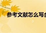 参考文献怎么写合适（参考文献怎么写）