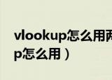 vlookup怎么用两个条件导出单价（vlookup怎么用）