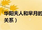 华阳夫人和芈月的关系图（华阳夫人和芈月的关系）