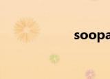 soopat（soopat）