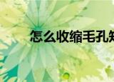 怎么收缩毛孔知乎（怎么收缩毛孔）