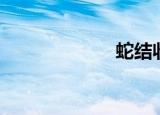 蛇结收尾（蛇结）