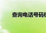 查询电话号码机主信息（查询电话）