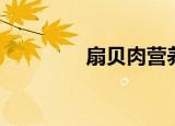 扇贝肉营养价值（扇贝肉）