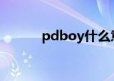 pdboy什么意思（pdb数据库）