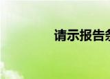 请示报告条例（请示报告）