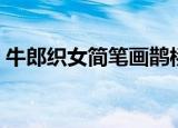 牛郎织女简笔画鹊桥相会（牛郎织女简笔画）
