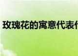 玫瑰花的寓意代表什么意思（玫瑰花的寓意）