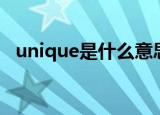 unique是什么意思（unique是什么意思）