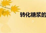 转化糖浆的危害（转化糖浆）