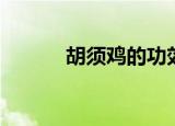 胡须鸡的功效与作用（胡须鸡）