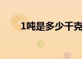 1吨是多少千克力（1吨是多少千克）