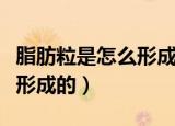 脂肪粒是怎么形成的如何消除（脂肪粒是怎么形成的）