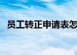 员工转正申请表怎么写（员工转正申请表）
