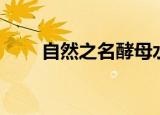 自然之名酵母水怎么样（自然之名）