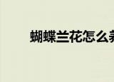 蝴蝶兰花怎么养（蝴蝶兰花怎么养）