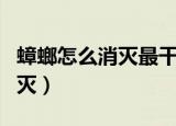 蟑螂怎么消灭最干净彻底的方法（蟑螂怎么消灭）