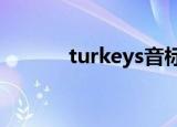 turkeys音标（turkey怎么读）