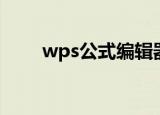 wps公式编辑器（wps公式编辑器）
