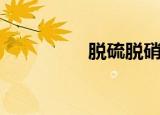 脱硫脱硝设备（脱奶罩）