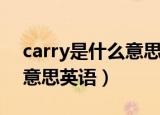 carry是什么意思中文怎么读（carry是什么意思英语）