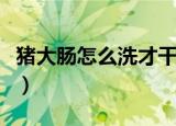 猪大肠怎么洗才干净没有臭味（猪大肠怎么洗）