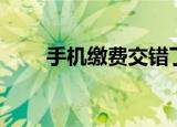 手机缴费交错了怎么办（手机缴费）